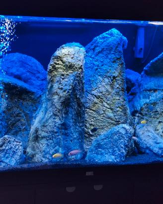 Acquario Rio 350 Juwel led