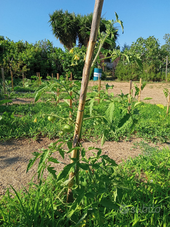 Terreno agricolo