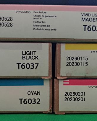 N°5Cartucce originali  epson t6036-t37-t32-t33-t34