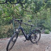 e-bike Alpeck trecy