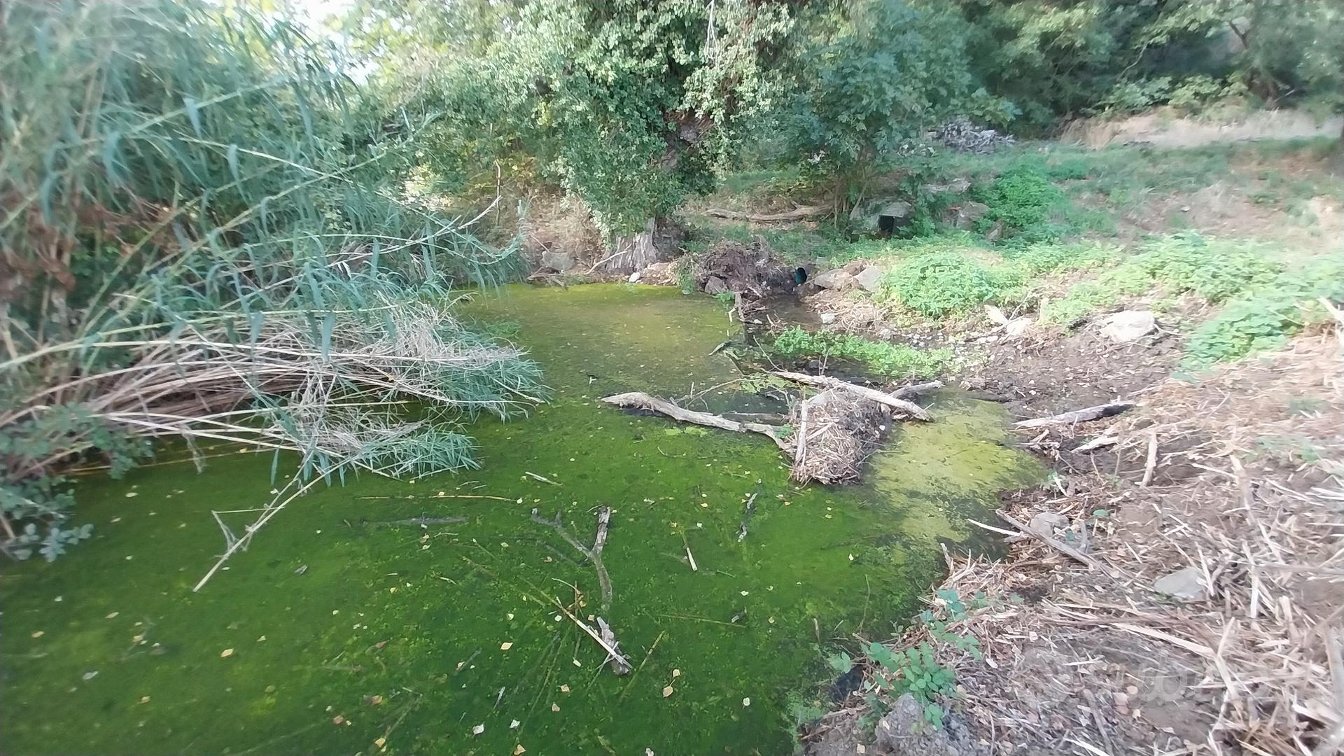 Terreno Agricolo - Vista 3