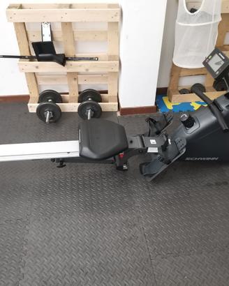 Schwinn Fitness Vogatore Crewmaster
