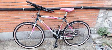 Mountain Bike Messina