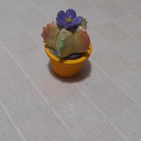 Mini piantina grassa