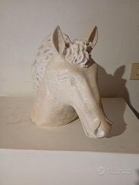 Testa di cavallo