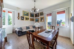 5 LOCALI A REGGIO NELL'EMILIA