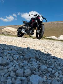 voge brivido 300 r
