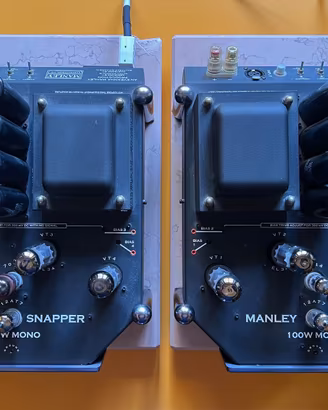 Manley Snapper (coppia finali monofonici)