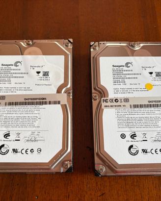 Coppia Hard Disk Seagate Barracuda LP 1 TB per NAS