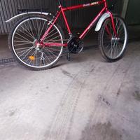 bicicletta MTB misura 26 telaio L