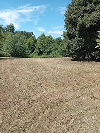 PAL - Terreno agricolo