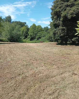 PAL - Terreno agricolo