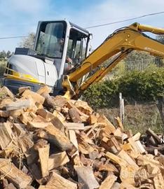 legna da ardere secca 