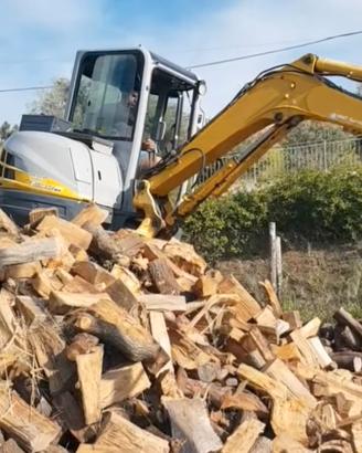 legna da ardere secca 