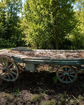 Antico carro agricolo