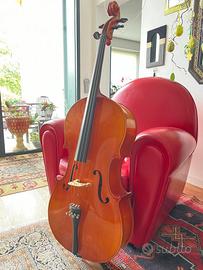 🎻Violoncello - per studenti ed appassionati 🎻