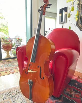 🎻Violoncello - per studenti ed appassionati 🎻