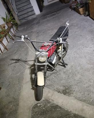 Mini Fantic