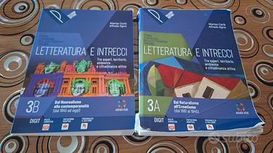 libro letteratura e intrecci