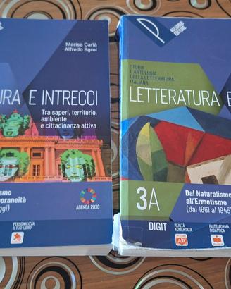 libro letteratura e intrecci