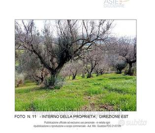 Terreno Agricolo Artena [A4298015]