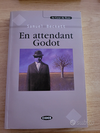 Libro lettura in francese