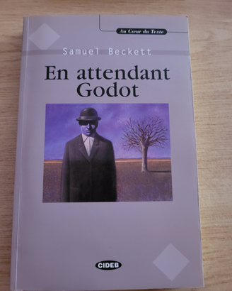 Libro lettura in francese