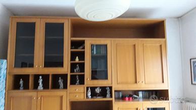 Armadio libreria in legno massello presente a Bn