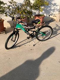 Bicicletta da ragazzo