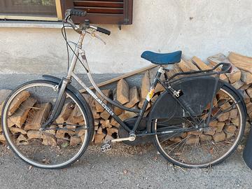 Bici da passeggio