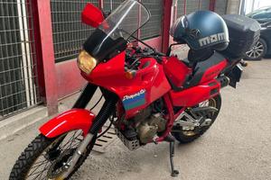 HONDA DOMINATOR 650