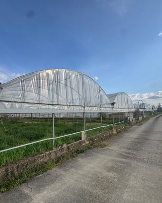 Archi in ferro serre agricole a tunnel 9mt 60mm