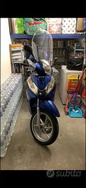 SH 300