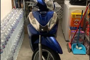 SH 300