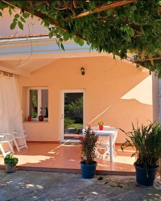 Spazioso appartamento con veranda e giardino