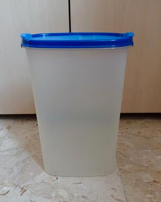 contenitore Tupperware originale per la dispensa m