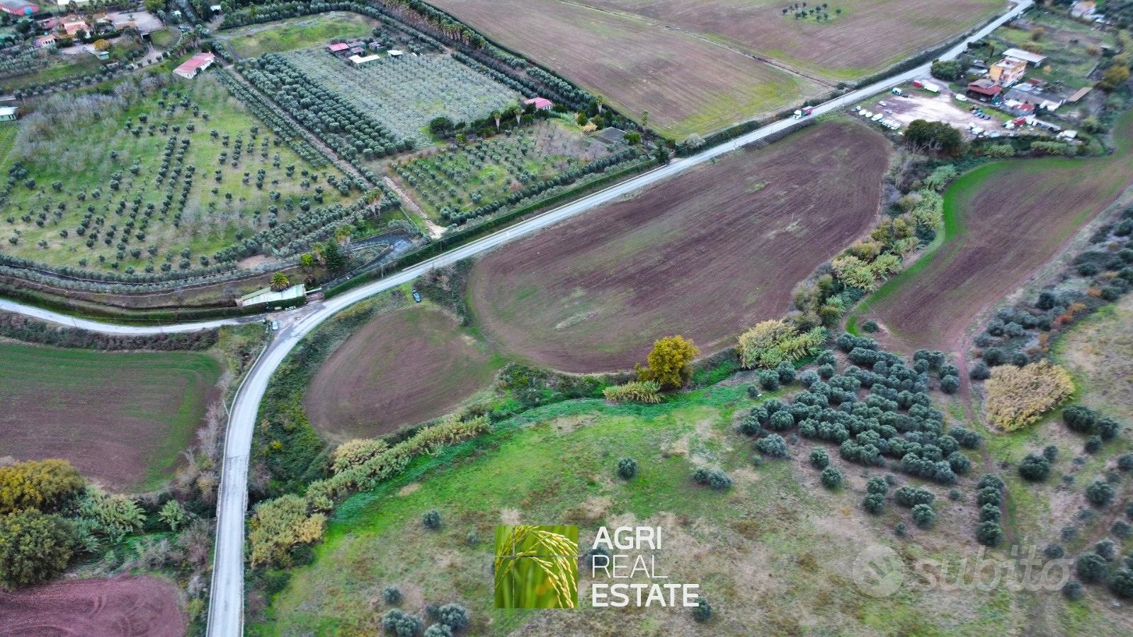 Terreno agricolo 3 HA ca. fronte strada | TR475 - Vista 4