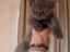 Immagine 4