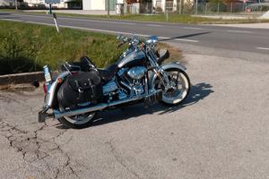 Harley Davidson Heritage springer centenario 