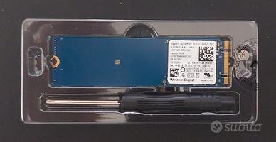 Memoria SSD 256 Gb