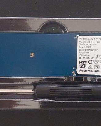 Memoria SSD 256 Gb