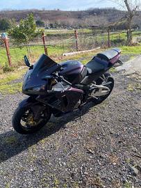 cbr 600rr