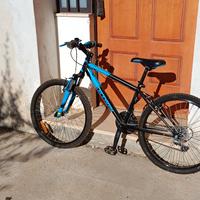 Bicicletta ragazzo