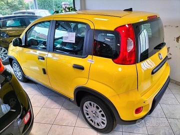 Fiat Panda Pandina 1.0 65 CV Hybrid POP FINANZ.+ R