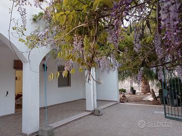 Casa vacanza porto cesareo