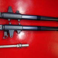 PERNO FORCELLE BMW R1150R ROCKSTER