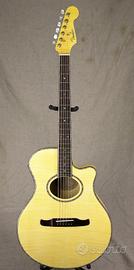 Fender casa grande