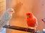 Immagine 2