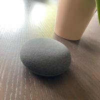 Google home mini