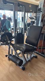 Leg extension technogym silver